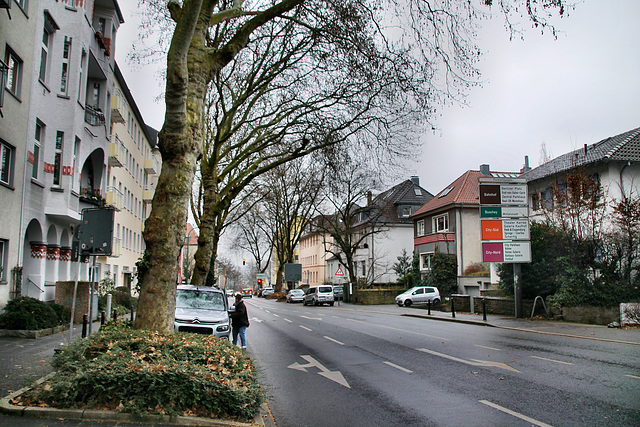 Buscheystraße (Hagen-Wehringhausen) / 29.01.2022