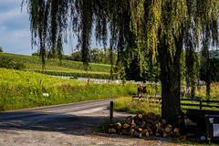 2014-09.02. - Pennsylvania- Walker Township