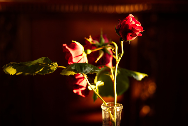 Rose 50 & 42 : discarded