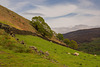 Crowden in Longdendale