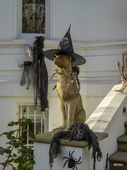 Hallowe'en at Upper Phillimore Gardens