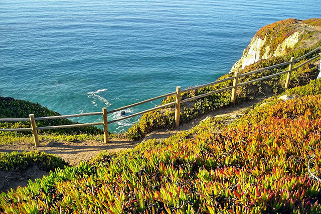 Cabo da Roca, Portugal HFF