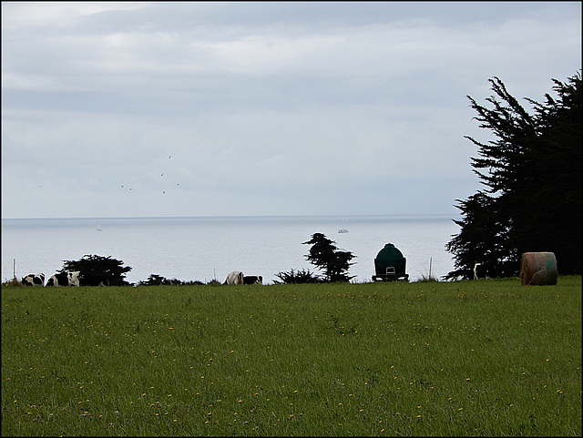 la campagne à la mer,