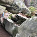 Sortie en forêt de Fontainebleau