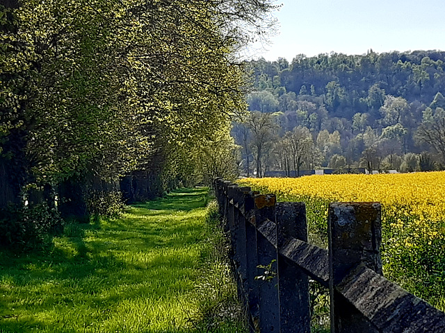 Bonne fin de semaine