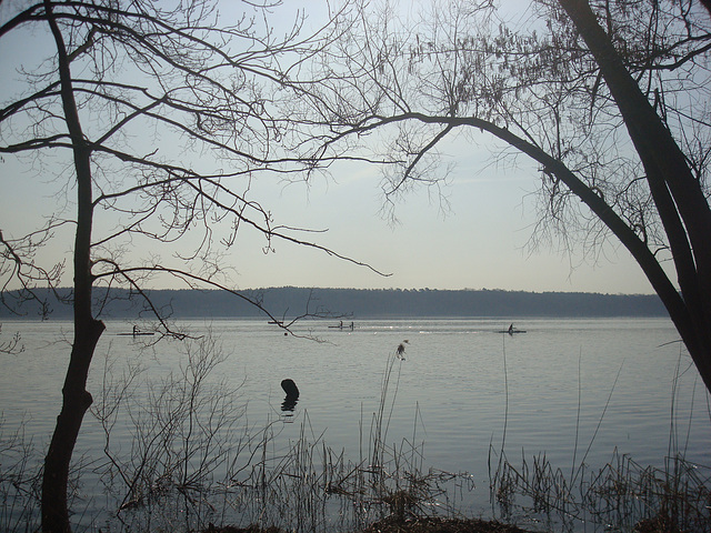 Templiner See