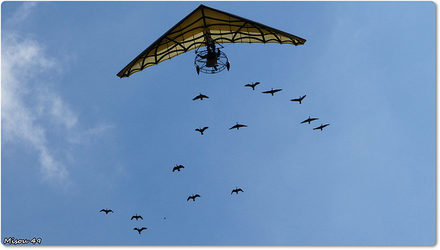 LE PUY du FOU