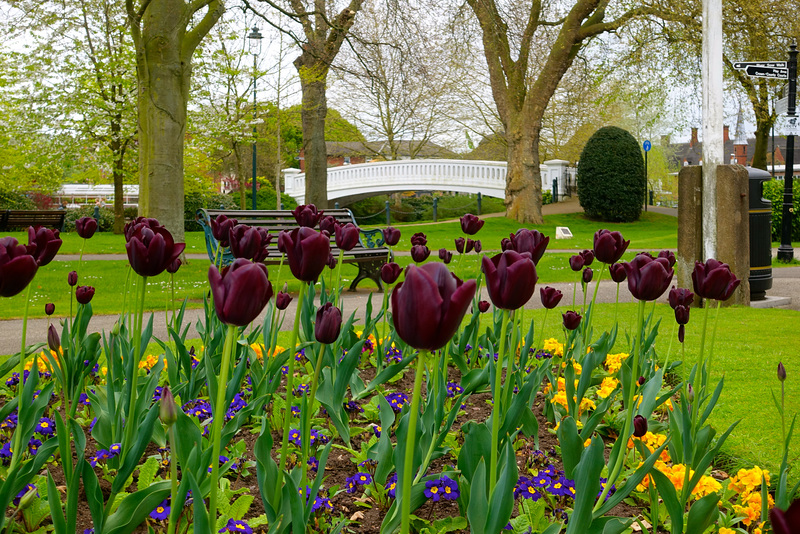 Victoria Park, Stafford