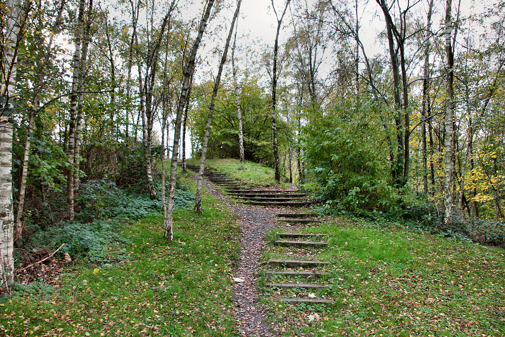 Weg auf der Halde Ickern (Castrop-Rauxel-Ickern) / 2.11.2017