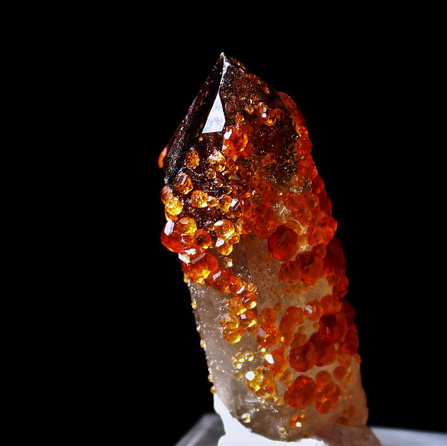 grenats Spessartite sur Quartz fumé