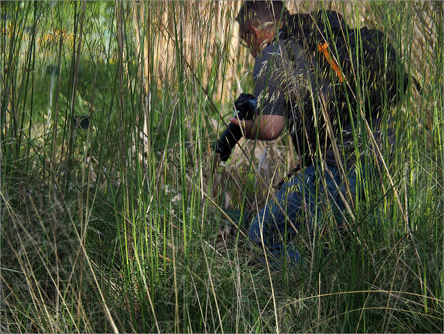 Le chasseur d'images