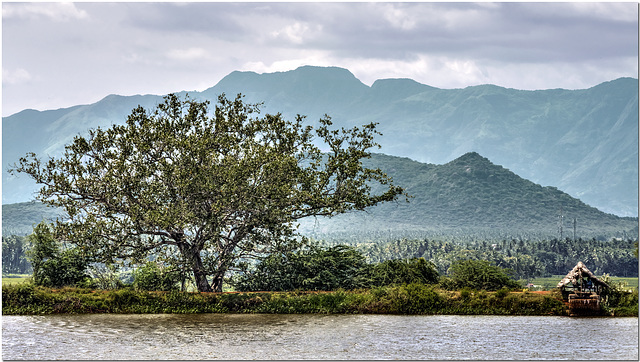 The Western Ghats,  India