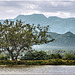 The Western Ghats,  India