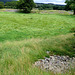 Mayburgh Henge