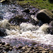 Splashes and sparkle