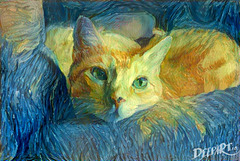 My Cat a la Vincent van Gogh