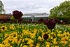 Victoria Park, Stafford