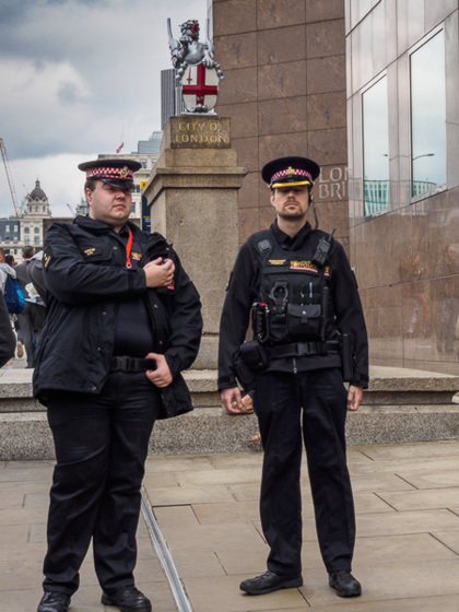 Guarding the City