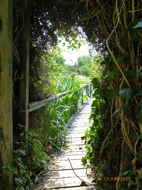 les jardins d'eau