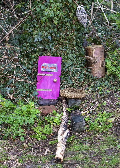 Pink Fairy Door