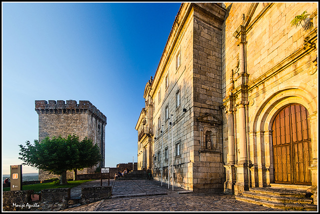 Monasterio de San Vicente del Pino