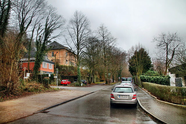 Stadtgartenallee (Hagen-Wehringhausen) / 29.01.2022