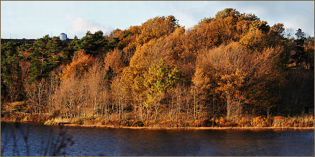 Long Pond on a November afternoon