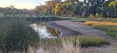 The wetlands drying out