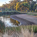 The wetlands drying out