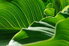 DSCF8153