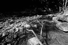 Sur les rives du DOURDOU .