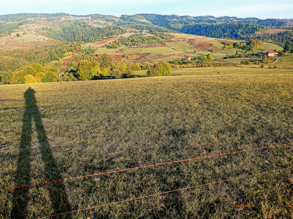 HAPPY (ELECTRIC SHEPHERD) FENCE FRIDAY