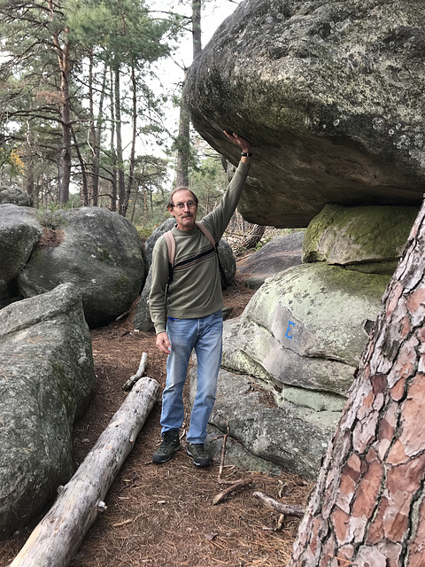 Sortie en forêt de Fontainebleau