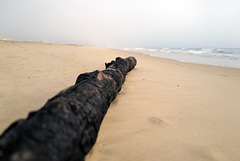 Monte Gordo, Driftwood as bench ! HBM