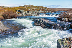 Berlevågveien