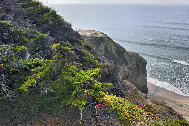 Looking Down – San Gregorio Beach State Park, San Mateo County, California