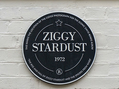 Ziggy Stardust - 12 April 2018