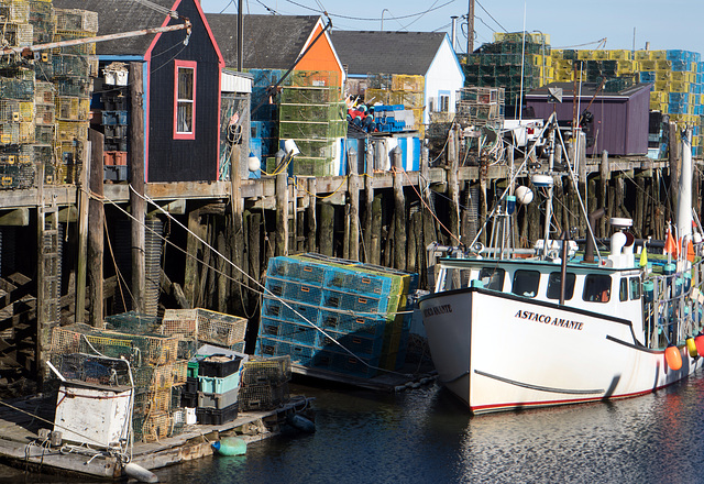 fish houses Portland Maine