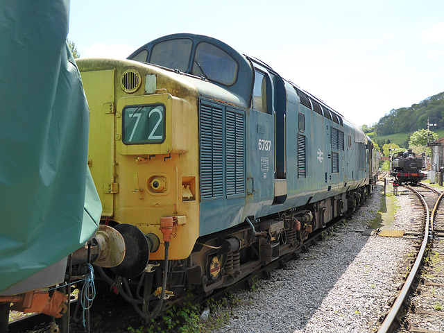 6737 at Buckfastleigh - 27 May 2021