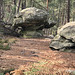 Sortie en forêt de Fontainebleau