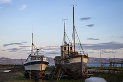 Mittsommer auf der Varanger Halbinsel