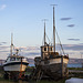 Mittsommer auf der Varanger Halbinsel