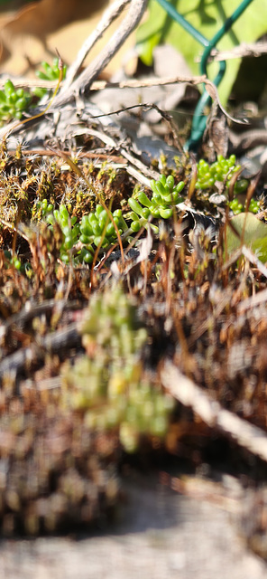 MVIMG 20260227 144555