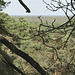 Sortie en forêt de Fontainebleau