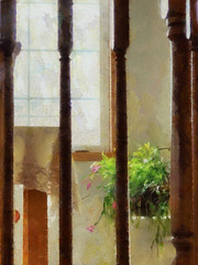 window, table, plant