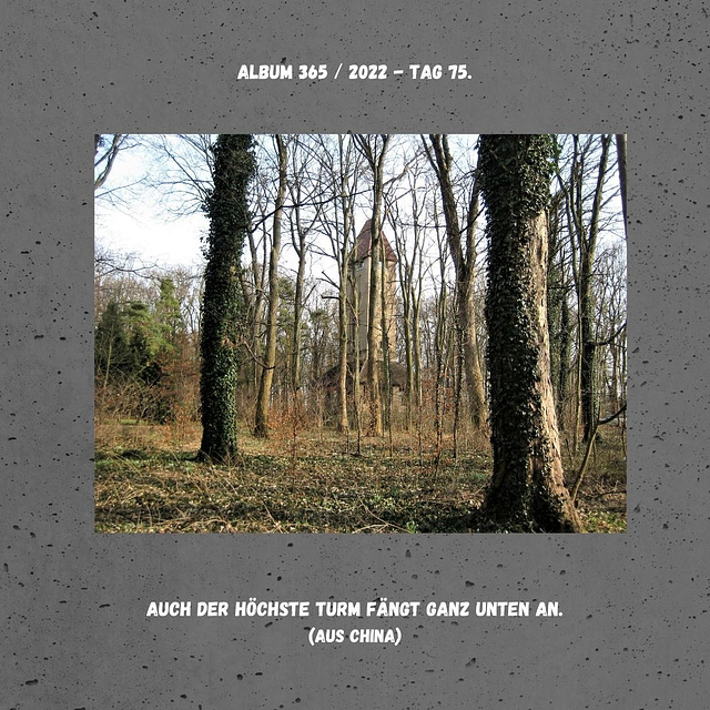Album 365 / 2022 - Tag 75.