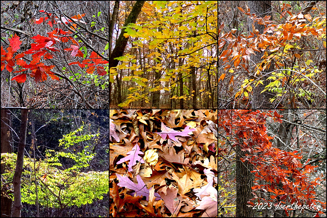 November colors