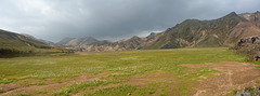 Iceland, Panorama of Arctic Cotton Meadow among Colorful Mountains Landmannalaugar