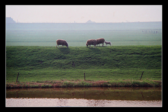Noord-Holland 1981 (30)