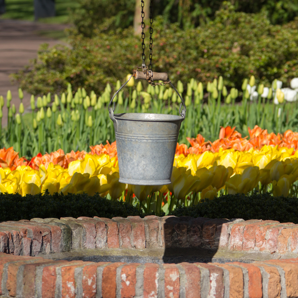 Keukenhof DSC09244